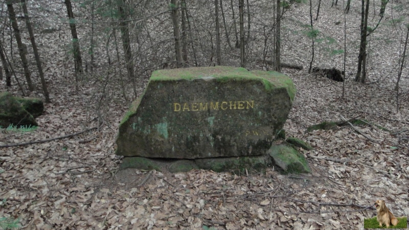 Ritterstein Nr. 117-2 Daemmchen.JPG - Ritterstein Nr.117  Daemmchen                               
